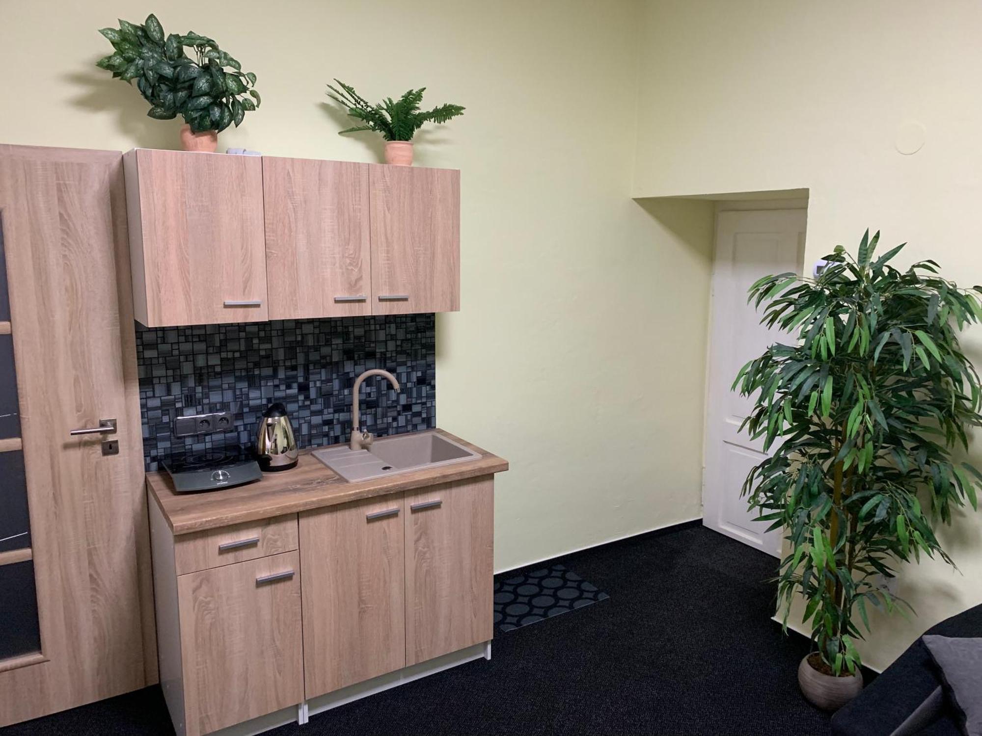 Apartman Alesta Bruntál 外观 照片